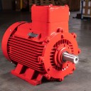 TCD YBX3 EX db FLAMEPROOF MOTOR